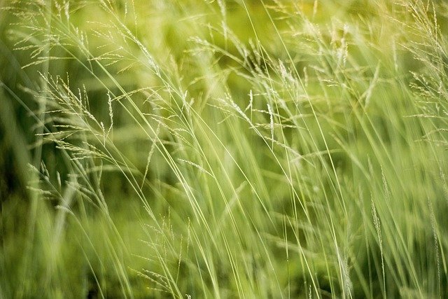 Benefits of Green Spaces